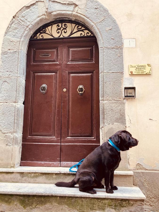 Casa Vacanze Beppina Cortona Exterior foto